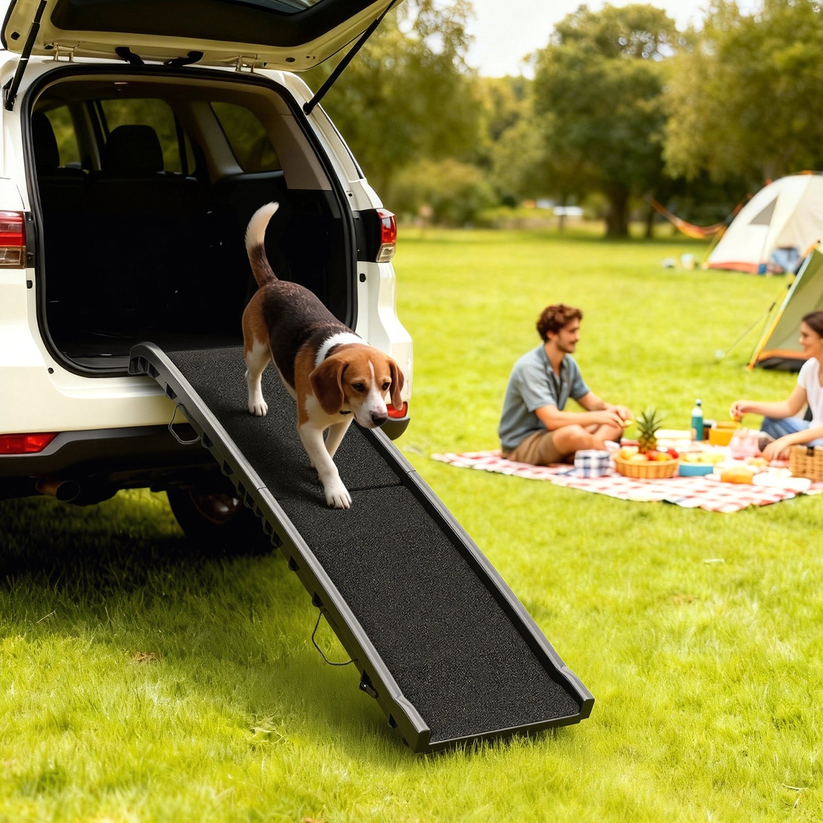 Rampe pliable antidérapante pour chien – 61 po