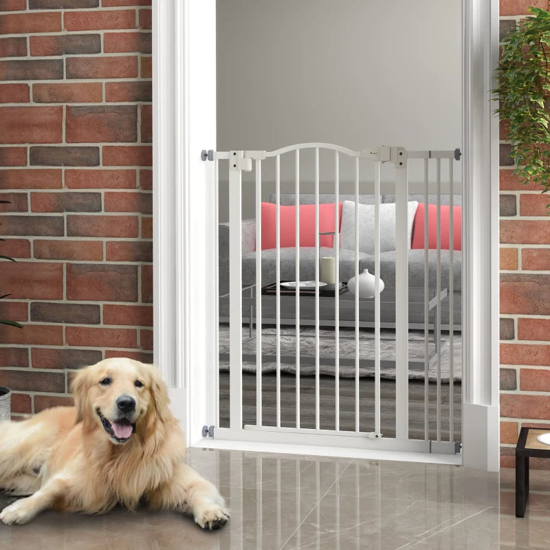 Portail pour chien