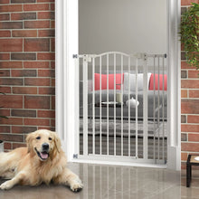 Portail pour chien