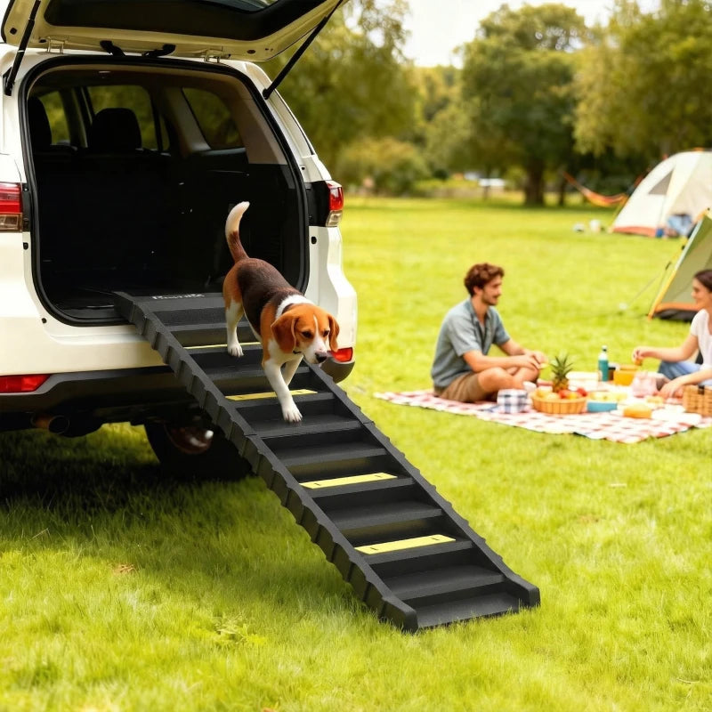 Rampe de voiture pour chien