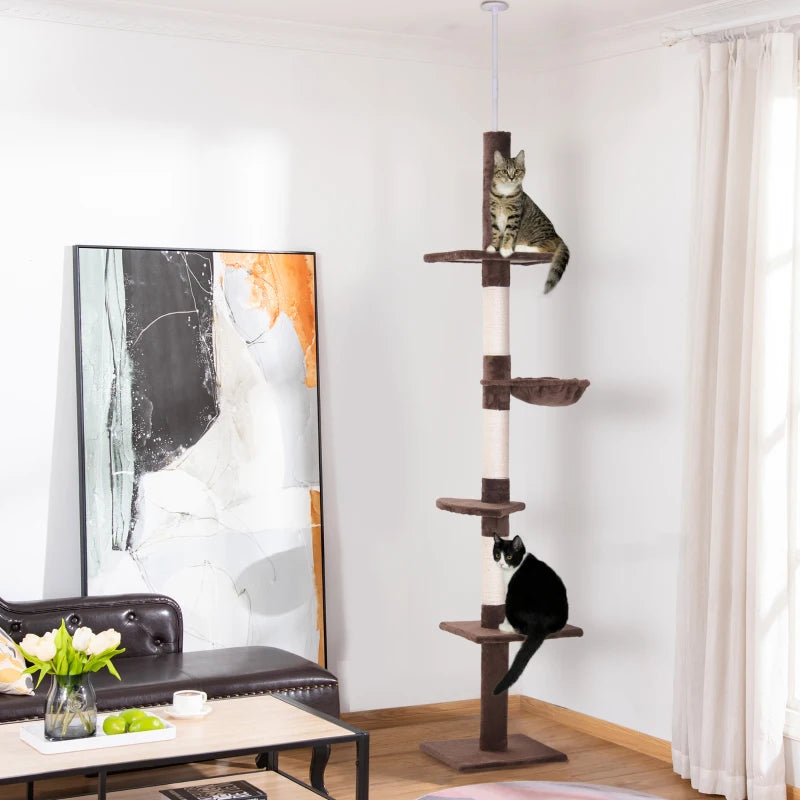 Arbre à chat